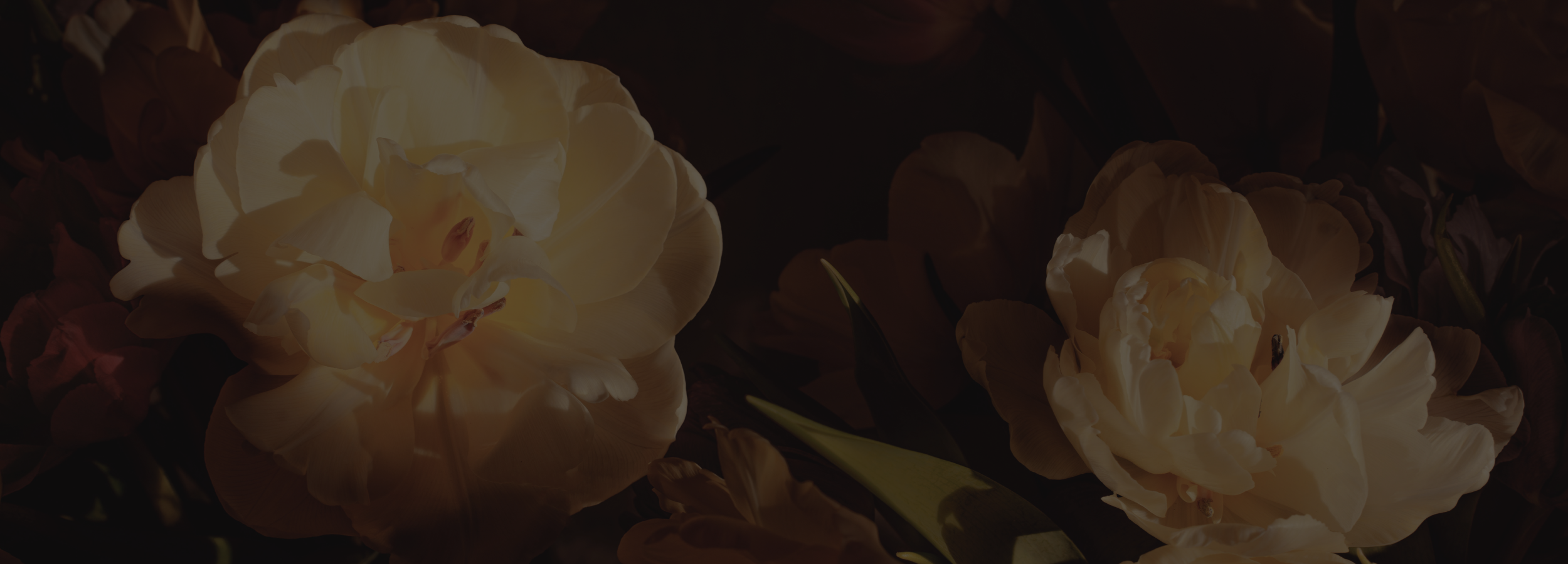 medical-grade facial treatments guilford