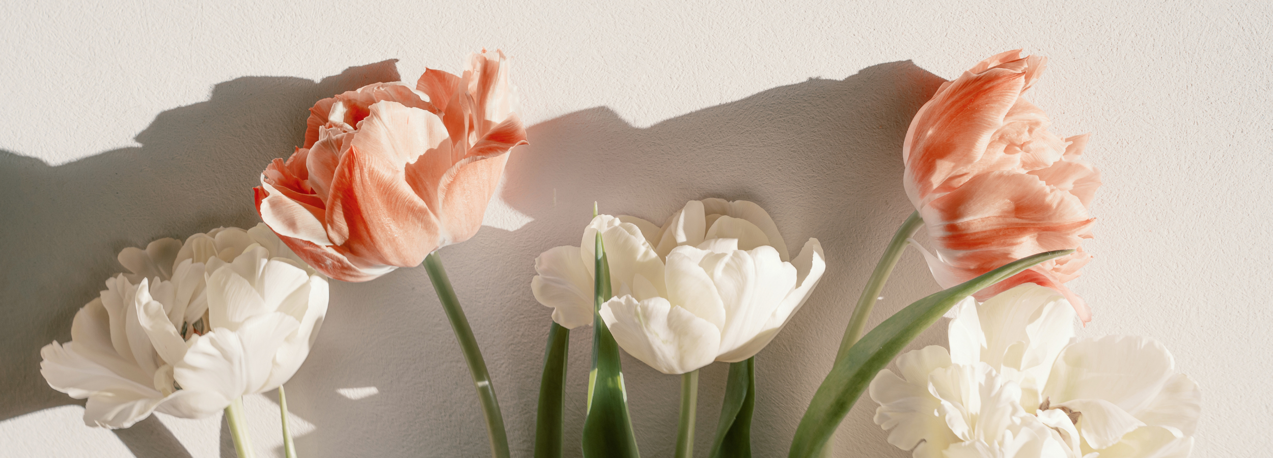 non-surgical eye rejuvenation treatments