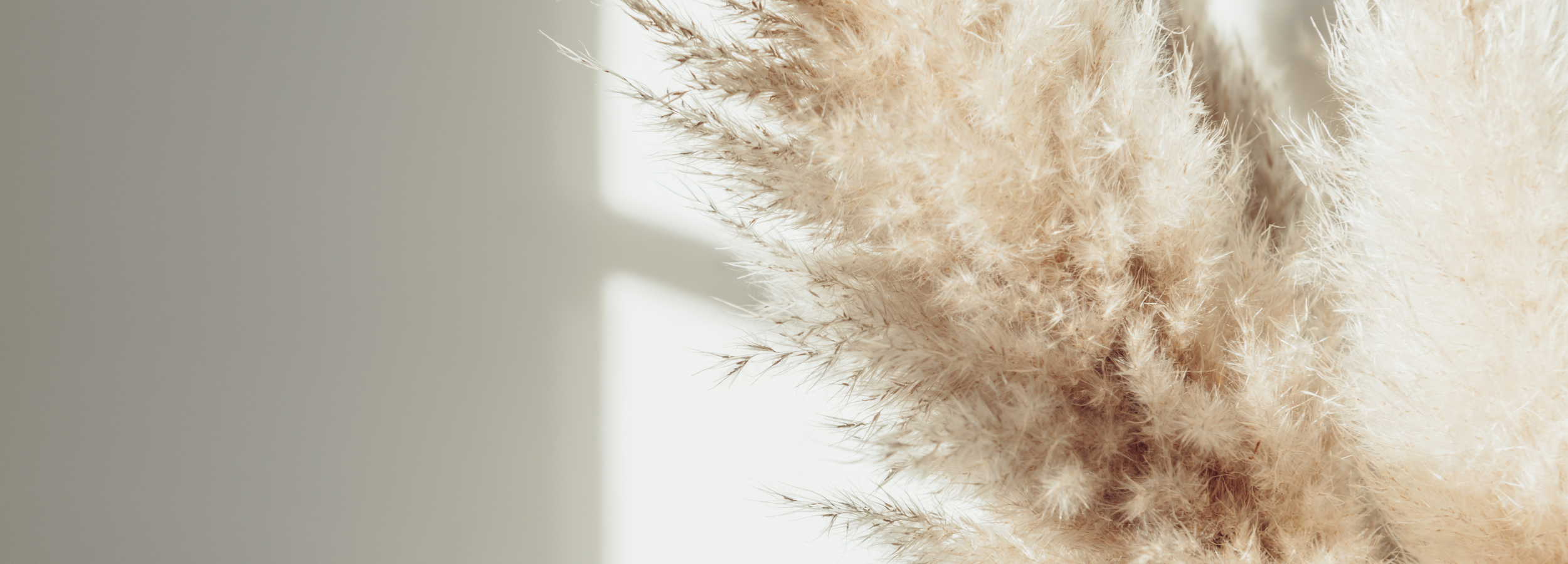 treatments for skin laxity